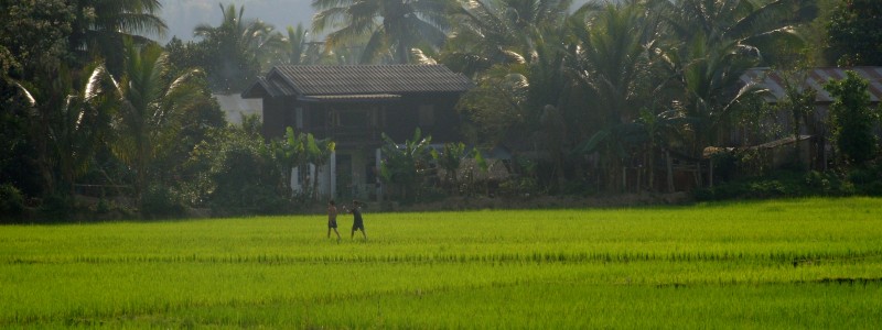 Asien 2008 Laos Luang Nam Tha