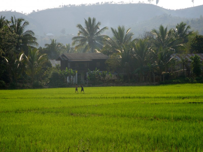 Asien 2008 Laos Luang Nam Tha