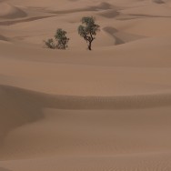 Dunes in the Moroccan desert