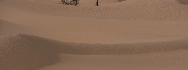 Dunes in the Moroccan desert